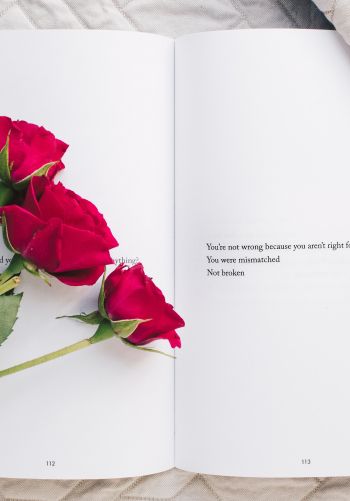 aesthetics, red roses, book Wallpaper 1668x2388