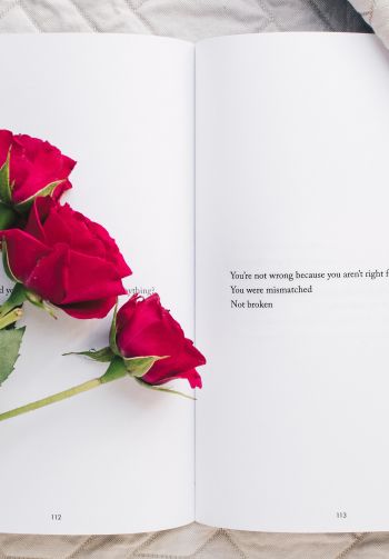 Обои 1640x2360 эстетика, красные розы, книга