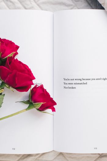Обои 640x960 эстетика, красные розы, книга