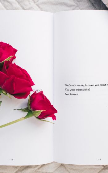 Обои 1200x1920 эстетика, красные розы, книга