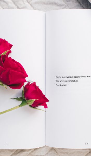Обои 600x1024 эстетика, красные розы, книга