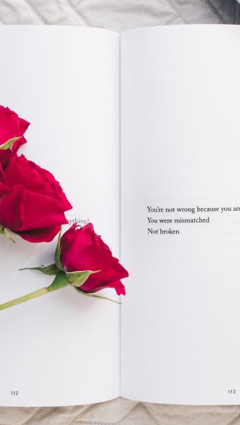 Обои 640x1136 эстетика, красные розы, книга