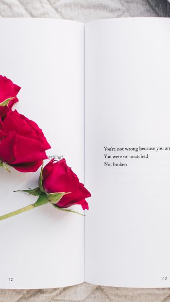 Обои 720x1280 эстетика, красные розы, книга