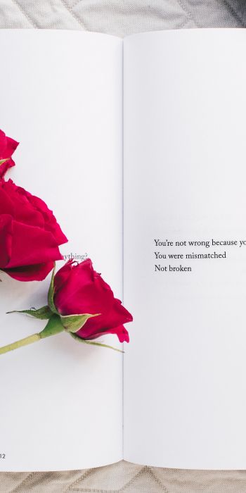 Обои 720x1440 эстетика, красные розы, книга