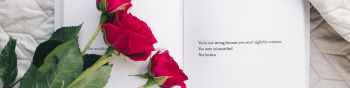 Обои 1590x400 эстетика, красные розы, книга