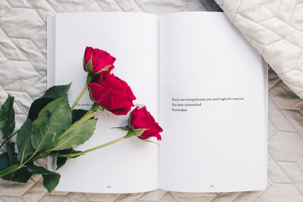 Обои 5005x3337 эстетика, красные розы, книга