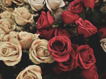 bouquet of roses, flower arrangement Wallpaper 1024x768