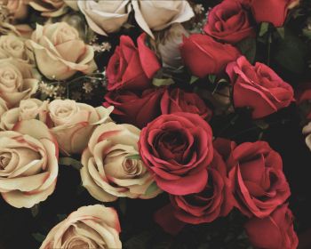 bouquet of roses, flower arrangement Wallpaper 1280x1024