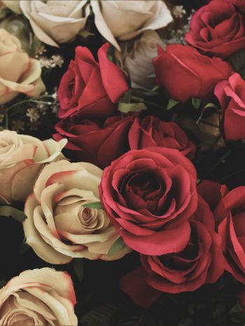 Обои 1668x2224 букет роз, цветочная композиция