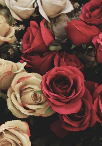 bouquet of roses, flower arrangement Wallpaper 1668x2388