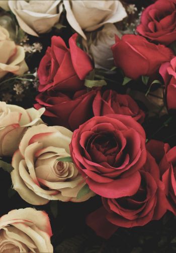 bouquet of roses, flower arrangement Wallpaper 1640x2360