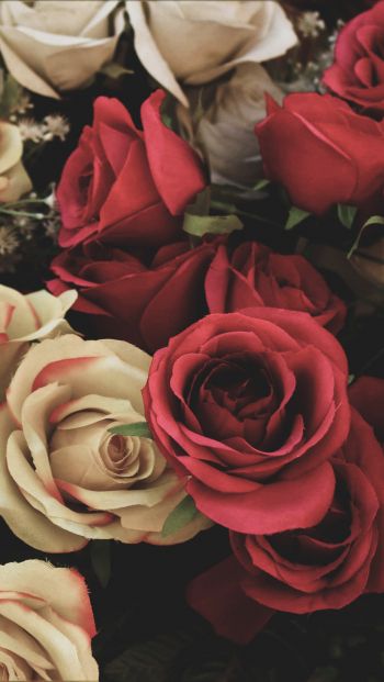 Обои 640x1136 букет роз, цветочная композиция