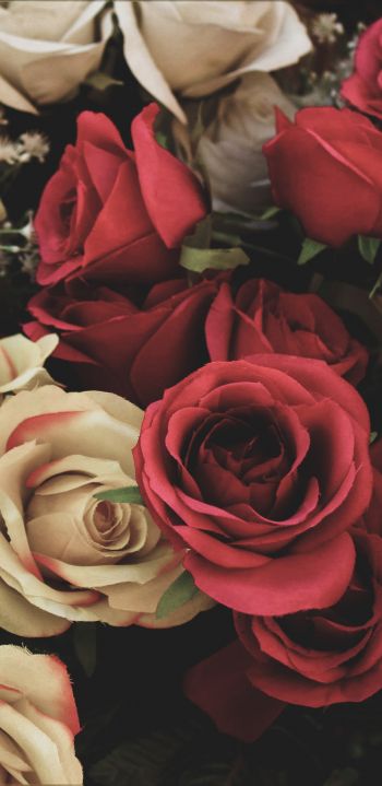 Обои 1080x2220 букет роз, цветочная композиция