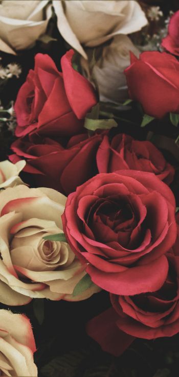Обои 1080x2280 букет роз, цветочная композиция