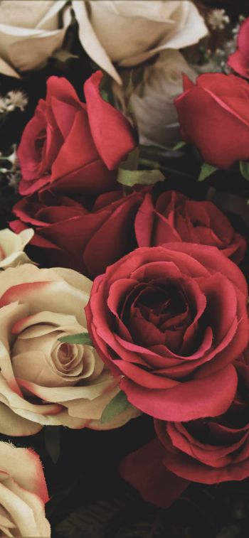Обои 1125x2436 букет роз, цветочная композиция