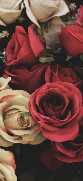 bouquet of roses, flower arrangement Wallpaper 1080x2340