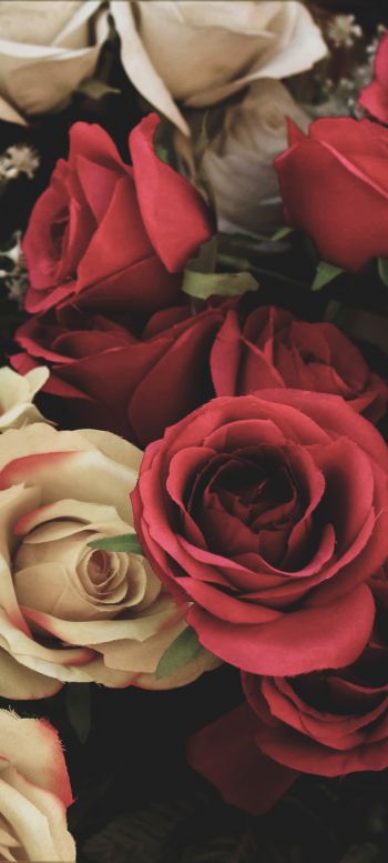 Обои 1080x2400 букет роз, цветочная композиция