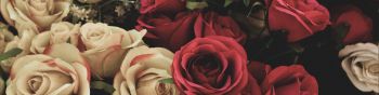 Обои 1590x400 букет роз, цветочная композиция