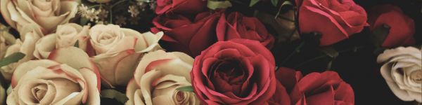 Обои 1590x400 букет роз, цветочная композиция