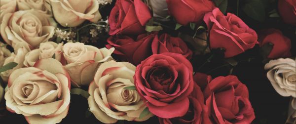 bouquet of roses, flower arrangement Wallpaper 3440x1440