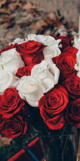 Обои 720x1440 букет роз, романтика, пикник
