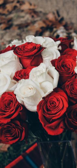 Обои 1242x2688 букет роз, романтика, пикник