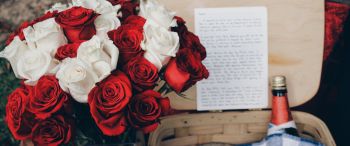 bouquet of roses, romance, picnic Wallpaper 3440x1440