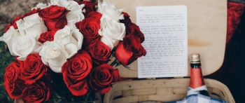 bouquet of roses, romance, picnic Wallpaper 2560x1080