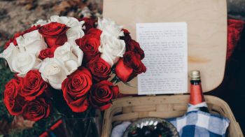 bouquet of roses, romance, picnic Wallpaper 1366x768