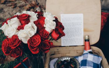 bouquet of roses, romance, picnic Wallpaper 2560x1600