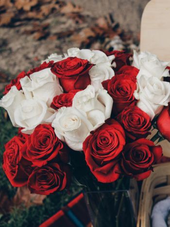 bouquet of roses, romance, picnic Wallpaper 2048x2732