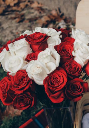 Обои 1668x2388 букет роз, романтика, пикник