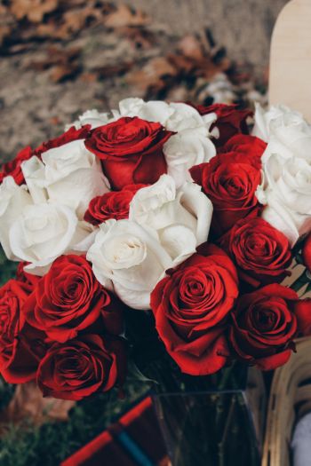 bouquet of roses, romance, picnic Wallpaper 640x960