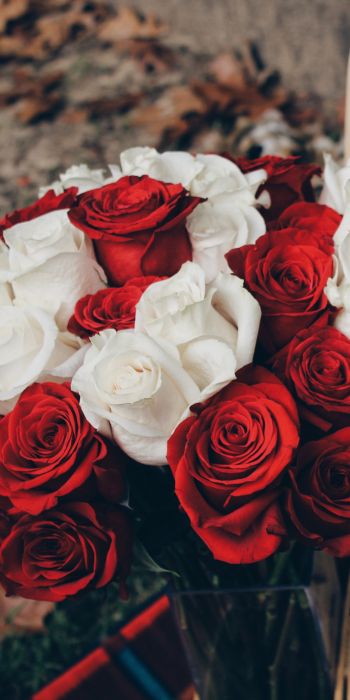 bouquet of roses, romance, picnic Wallpaper 720x1440