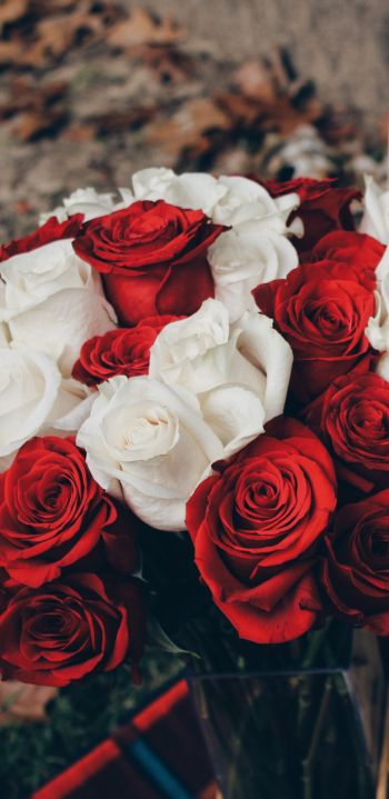 Обои 1440x2960 букет роз, романтика, пикник
