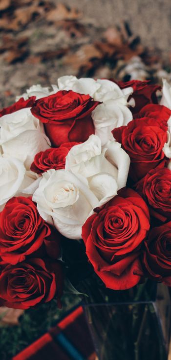 bouquet of roses, romance, picnic Wallpaper 1080x2280