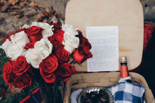 bouquet of roses, romance, picnic Wallpaper 5184x3456