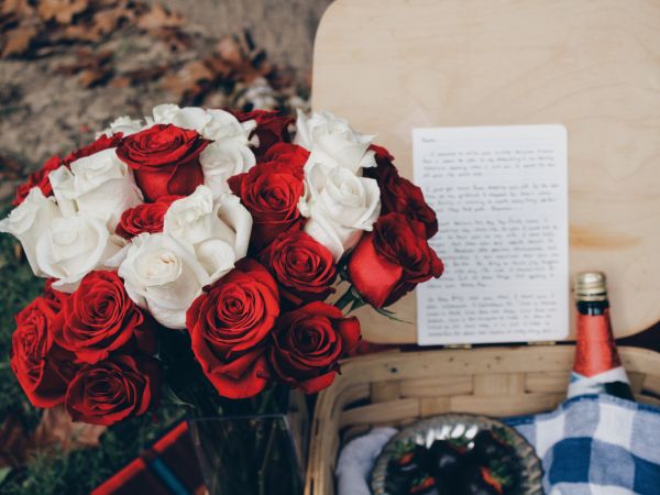 bouquet of roses, romance, picnic Wallpaper 1024x768
