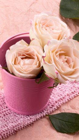 Обои 1080x1920 розовые розы, букет роз, цветочная композиция