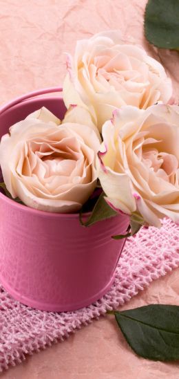 pink roses, bouquet of roses, flower arrangement Wallpaper 1440x3040