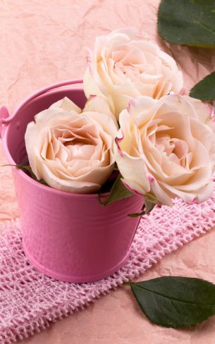 Обои 1600x2560 розовые розы, букет роз, цветочная композиция