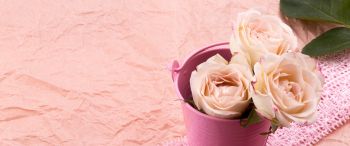 pink roses, bouquet of roses, flower arrangement Wallpaper 3440x1440