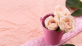 Обои 1600x900 розовые розы, букет роз, цветочная композиция