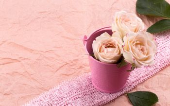Обои 2560x1600 розовые розы, букет роз, цветочная композиция