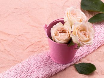 pink roses, bouquet of roses, flower arrangement Wallpaper 1024x768