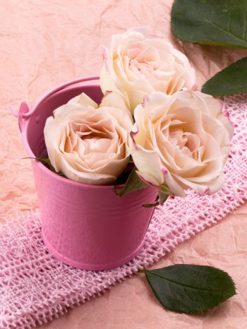 Обои 1536x2048 розовые розы, букет роз, цветочная композиция