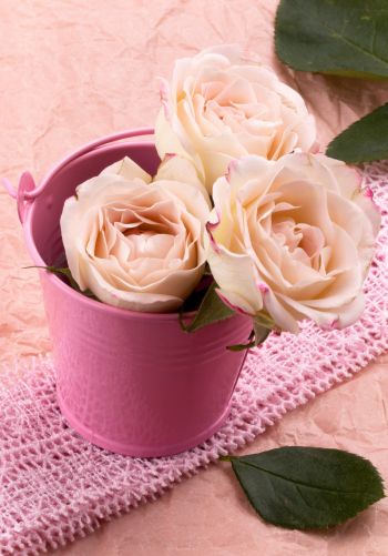 Обои 1668x2388 розовые розы, букет роз, цветочная композиция
