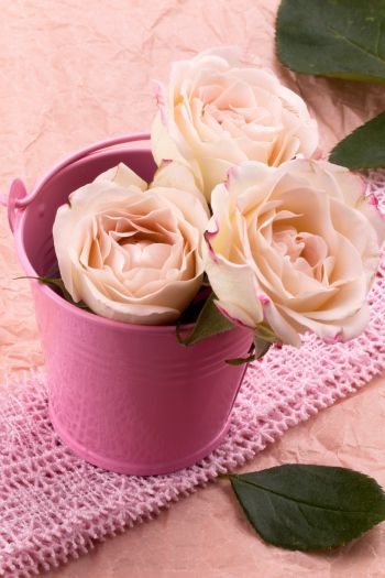 Обои 640x960 розовые розы, букет роз, цветочная композиция