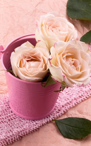 pink roses, bouquet of roses, flower arrangement Wallpaper 1600x2560