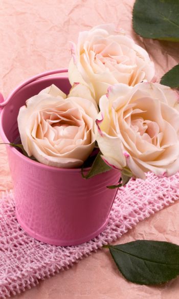 Обои 1200x2000 розовые розы, букет роз, цветочная композиция